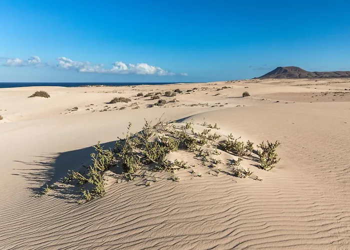 Home2book Isla Bonita Dream Escape In